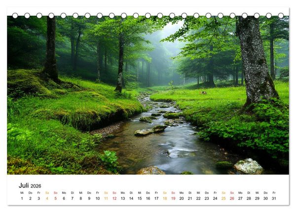 Produktbild: Mystik der W&auml;lder (Tischkalender 2026 DIN A5 quer), CALVENDO Monatskalender