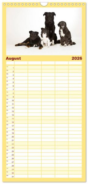 Produktbild: Familienplaner 2026 - Bunte Pfoten mit 5 Spalten (Wandkalender, 21 x 45 cm) CALVENDO