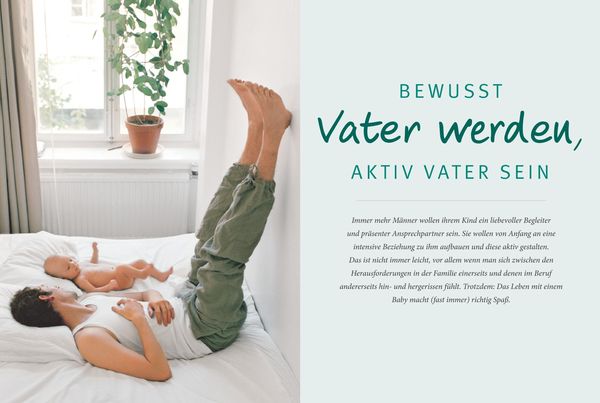 Produktbild: Das Papa-Handbuch