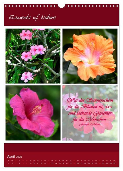Produktbild: Elements of Nature (Wandkalender 2026 DIN A3 hoch), CALVENDO Monatskalender