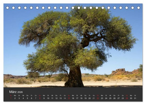 Produktbild: Alte B&auml;ume Alte Veteranen (Tischkalender 2026 DIN A5 quer), CALVENDO Monatskalender