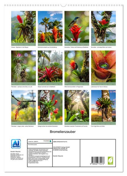 Produktbild: Bromelienzauber (hochwertiger Premium Wandkalender 2027 DIN A2 hoch), Kunstdruck in Hochglanz