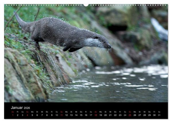 Produktbild: Wilde Heimat (hochwertiger Premium Wandkalender 2026 DIN A2 quer), Kunstdruck in Hochglanz