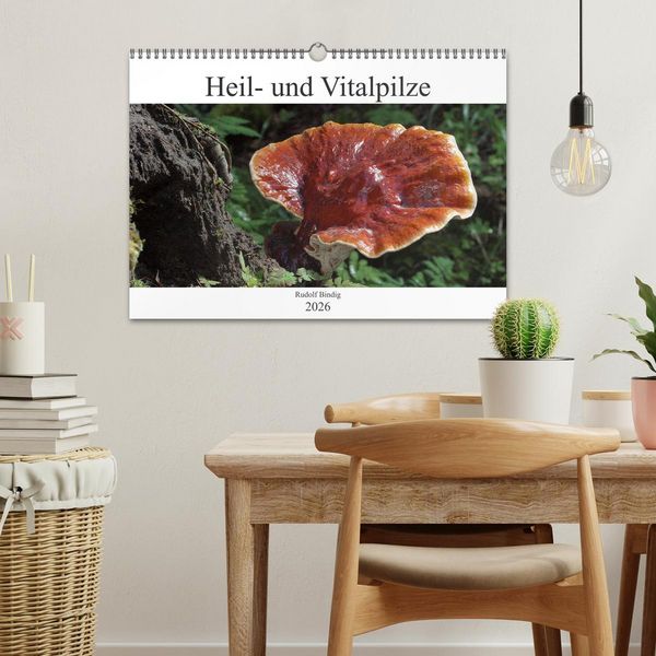 Produktbild: Heil- und Vitalpilze (Wandkalender 2026 DIN A3 quer), CALVENDO Monatskalender