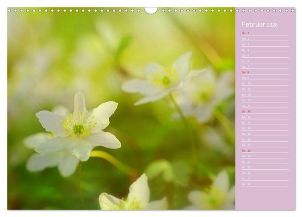 Produktbild: Blumenfreude (Wandkalender 2026 DIN A3 quer), CALVENDO Monatskalender
