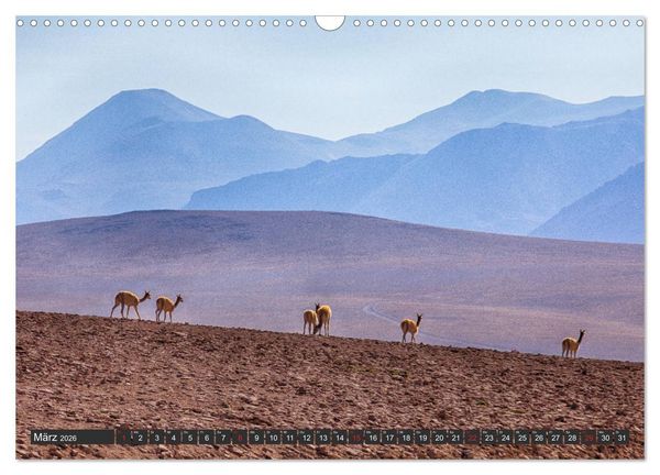 Produktbild: Traumwelt Chile (Wandkalender 2026 DIN A3 quer), CALVENDO Monatskalender