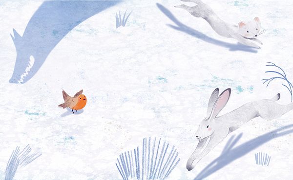 Produktbild: Winter mit Pettirosso