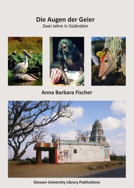 Die Augen der Geier, Taschenbuch von Anna B. Fischer, Tredition, 9783347194045