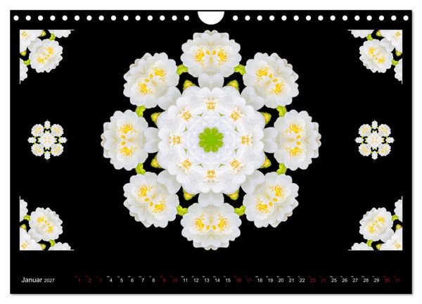 Produktbild: ROSEN MANDALAS (Wandkalender 2027 DIN A4 quer), CALVENDO Monatskalender