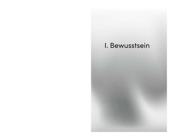 Produktbild: Die Seele des Psychotherapeuten