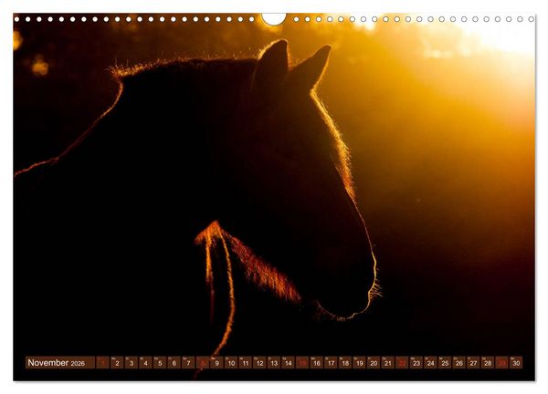 Produktbild: Kaltbl&uuml;ter - Schwere Pferde mit Charme (Wandkalender 2026 DIN A3 quer), CALVENDO Monatskalender