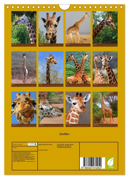 Produktbild: Giraffen (Wandkalender 2026 DIN A4 hoch), CALVENDO Monatskalender