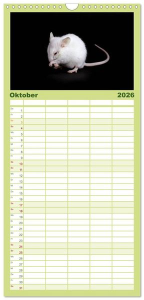 Produktbild: Familienplaner 2026 - S&uuml;&szlig;e M&auml;use und Coole Ratten mit 5 Spalten (Wandkalender, 21 x 45 cm) CALVENDO