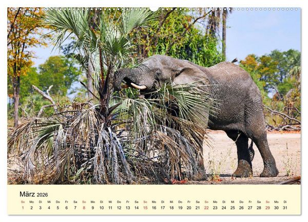 Produktbild: Traumhaftes Malawi (hochwertiger Premium Wandkalender 2026 DIN A2 quer), Kunstdruck in Hochglanz