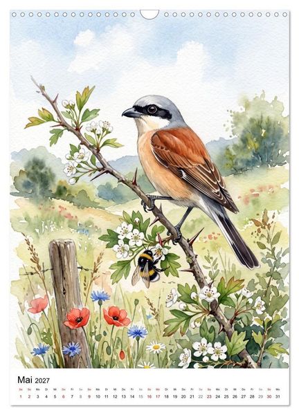 Produktbild: Gefiederte S&auml;nger der Natur (Wandkalender 2027 DIN A3 hoch), CALVENDO Monatskalender