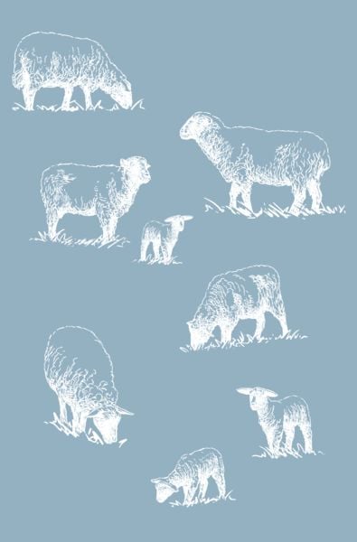 Produktbild: Die Inselsch&auml;ferin
