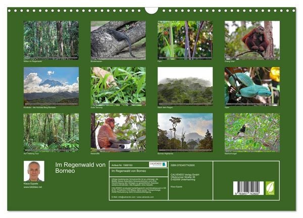Produktbild: Im Regenwald von Borneo (Wandkalender 2026 DIN A3 quer), CALVENDO Monatskalender