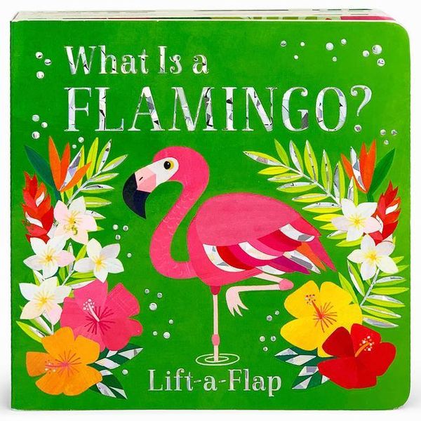 Produktbild: What Is a Flamingo?