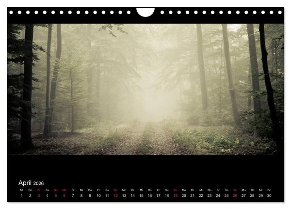 Produktbild: NEBEL (Wandkalender 2026 DIN A4 quer), CALVENDO Monatskalender
