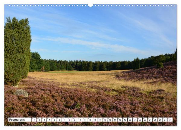 Produktbild: Heidelandschaft im Farbenspiel der Natur (Wandkalender 2026 DIN A2 quer), CALVENDO Monatskalender