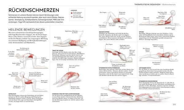 Produktbild: Yoga verstehen - Die Anatomie der Yoga-Haltungen