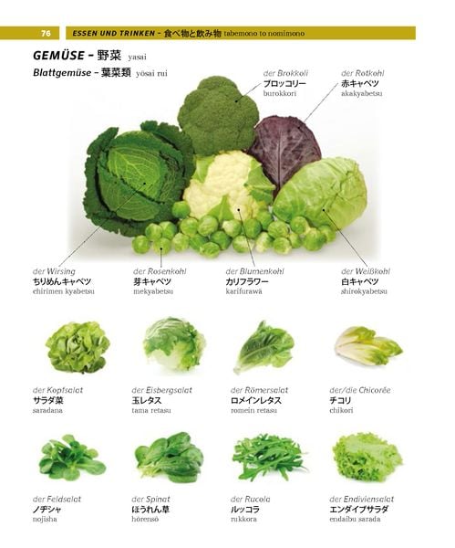 Produktbild: PONS Bildw&ouml;rterbuch Japanisch