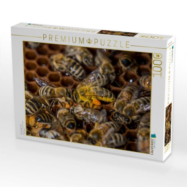 Produktbild: CALVENDO Puzzle Ein staubiger Kerl | 1000 Teile Lege-Gr&ouml;&szlig;e 64x48cm Foto-Puzzle f&uuml;r gl&uuml;ckliche Stunden