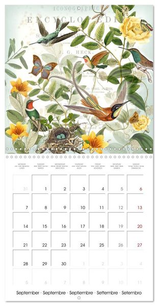 Produktbild: Lovely hummingbirds (Wall Calendar 2026 12 &times; 12 Inch) CALVENDO 12 Month Wall Calendar