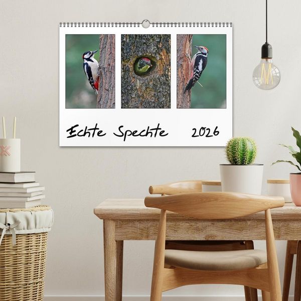 Produktbild: Echte Spechte (Wandkalender 2026 DIN A3 quer), CALVENDO Monatskalender