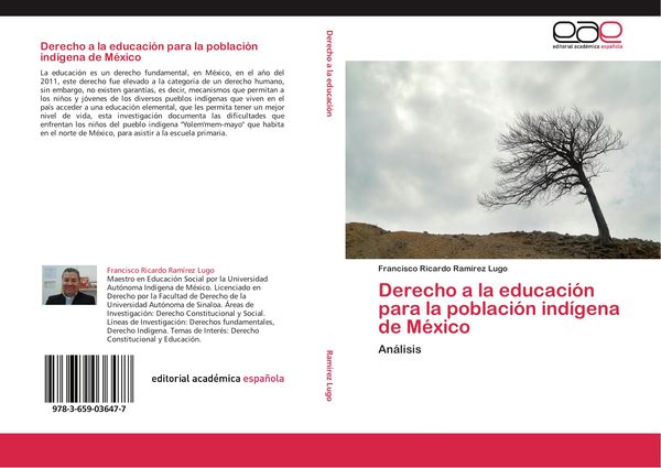 Produktbild: Derecho a la educaci&oacute;n para la poblaci&oacute;n ind&iacute;gena de M&eacute;xico
