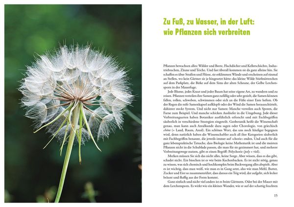 Produktbild: Selbst ist die Pflanze