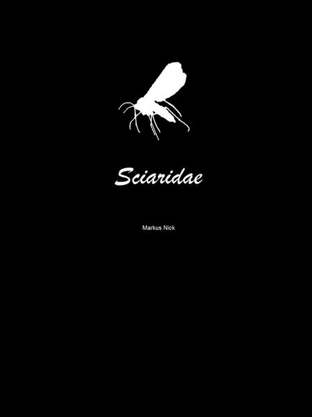 Produktbild: Sciaridae