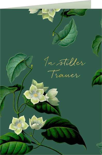 Produktbild: Gru&szlig;karten-Set &ndash; Trauerkarten