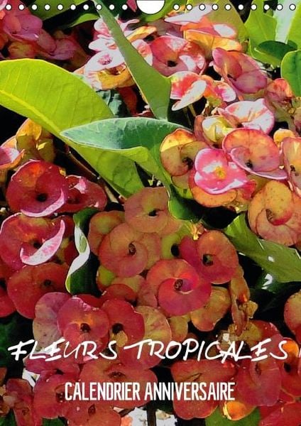 Produktbild: Blank, R: Fleurs tropicales / calendrier anniversaire (Calen