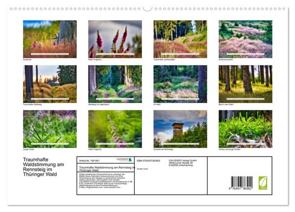 Produktbild: Traumhafte Waldstimmung am Rennsteig im Th&uuml;ringer Wald (hochwertiger Premium Wandkalender 2026 DIN A2 quer), Kunstdruck in Hochglanz