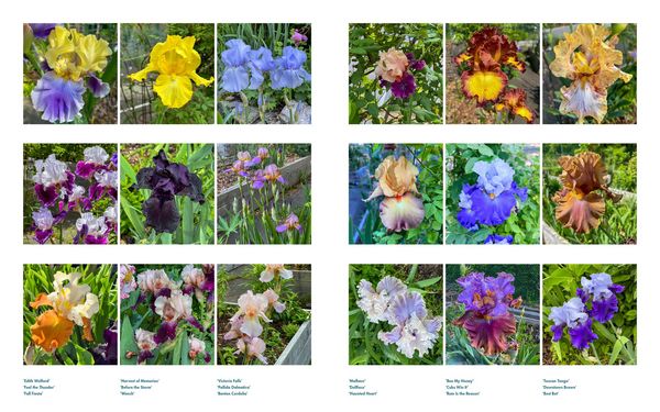 Produktbild: Life with Flowers