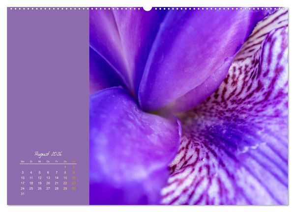 Produktbild: Bl&uuml;tenstil (hochwertiger Premium Wandkalender 2026 DIN A2 quer), Kunstdruck in Hochglanz