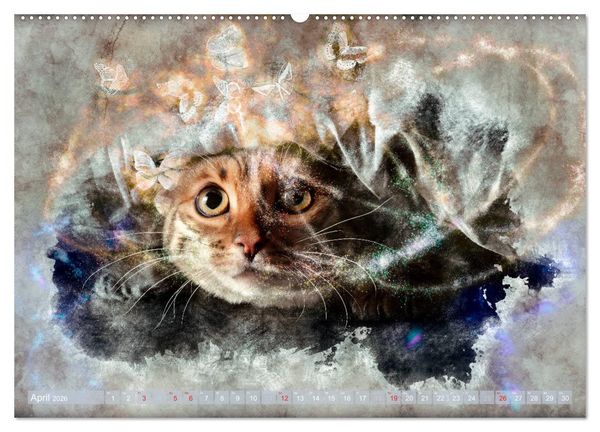 Produktbild: Katzenkalender mausgemalt (hochwertiger Premium Wandkalender 2026 DIN A2 quer), Kunstdruck in Hochglanz