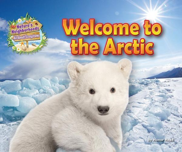 Produktbild: Welcome to the Arctic