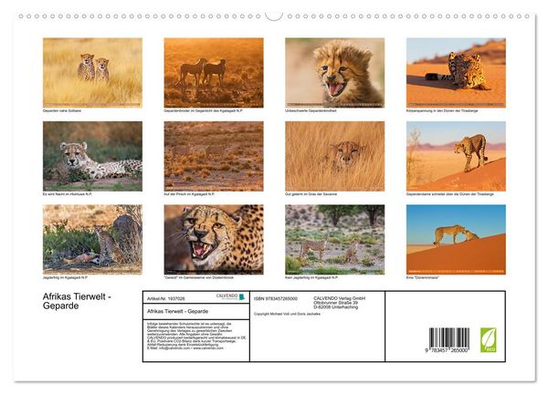 Produktbild: Afrikas Tierwelt - Geparde (hochwertiger Premium Wandkalender 2026 DIN A2 quer), Kunstdruck in Hochglanz
