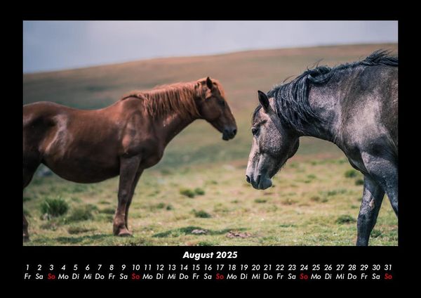 Produktbild: Die Welt der Pferde 2025 Fotokalender DIN A3