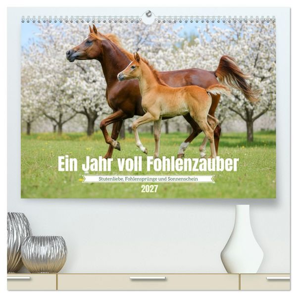 Produktbild: Ein Jahr voll Fohlenzauber (hochwertiger Premium Wandkalender 2027 DIN A2 quer), Kunstdruck in Hochglanz