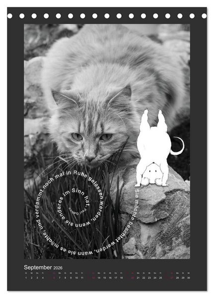 Produktbild: Katz & Maus (Tischkalender 2026 DIN A5 hoch), CALVENDO Monatskalender