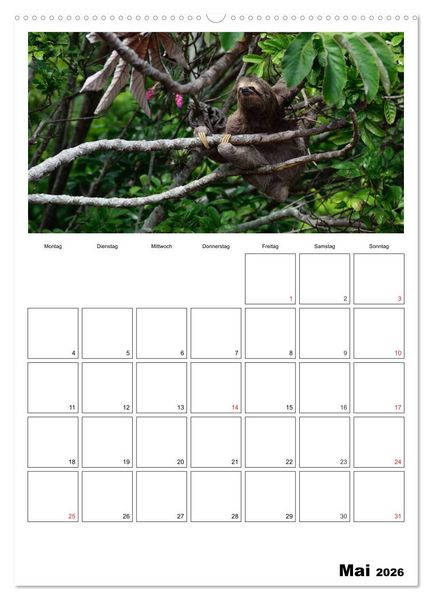 Produktbild: Brasilien. Wo die Sonne wohnt (hochwertiger Premium Wandkalender 2026 DIN A2 hoch), Kunstdruck in Hochglanz