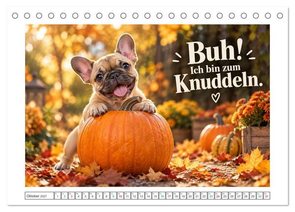 Produktbild: Zum Gl&uuml;ck gibt&rsquo;s Hunde (Tischkalender 2027 DIN A5 quer), CALVENDO Monatskalender