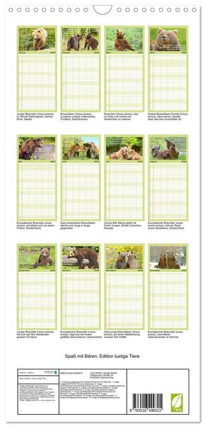 Produktbild: Familienplaner 2026 - Spa&szlig; mit B&auml;ren: Edition lustige Tiere mit 5 Spalten (Wandkalender, 21 x 45 cm) CALVENDO