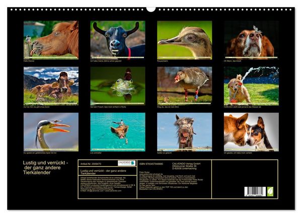 Produktbild: Lustig und verr&uuml;ckt - der ganz andere Tierkalender (Wandkalender 2026 DIN A2 quer), CALVENDO Monatskalender