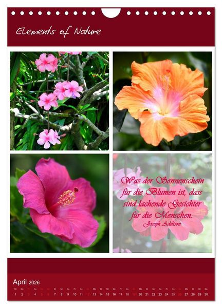 Produktbild: Elements of Nature (Wandkalender 2026 DIN A4 hoch), CALVENDO Monatskalender