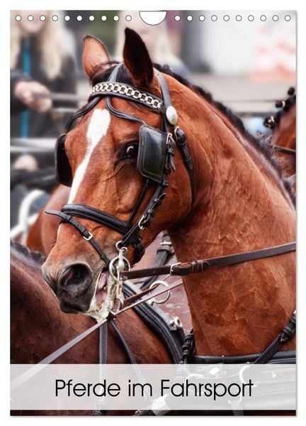 Pferde im Fahrsport (Wandkalender 2024 DIN A4 hoch), CALVENDO Monatskalender