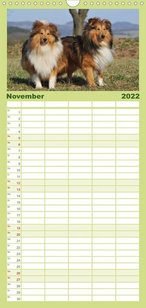 Produktbild: Sheltie 2022 - Familienplaner hoch (Wandkalender 2022 , 21 cm x 45 cm, hoch)
